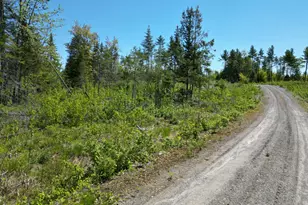 Lot 8 Riverbend Rd, Lowell, ME 04493 - Photo 1