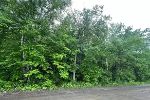 M1 L 11-3 Coboro Rd, Stetson, ME 04488 - Photo 1