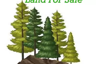 6 79 A End McAllister Rd, Buckfield, ME 04220 - Photo 1