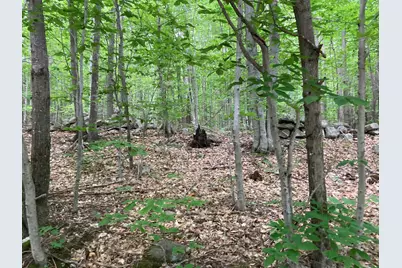 M4 L9-7 Rosenberg Road, Sumner, ME 04292 - Photo 1