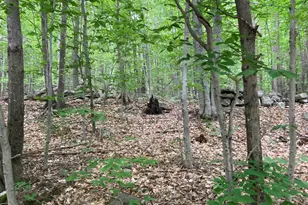 M4 L9-7 Rosenberg Rd, Sumner, ME 04292 - Photo 1