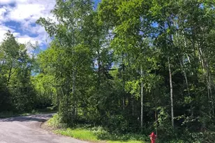 Lot 94 Winter St, Madawaska, ME 04756 - Photo 1