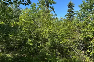 M4L19 Village Rd, Jackson, ME 04921 - Photo 1