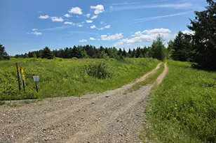 Lots 5B-5C Hersom Rd, Easton, ME 04740 - Photo 1