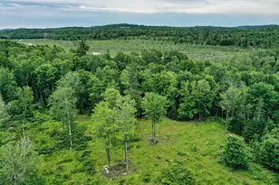 Lot 12 South Rd, Dixmont, ME 04932 - Photo 1