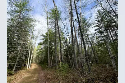 L1117&1118 Burke Street, Wesley, ME 04686 - Photo 1