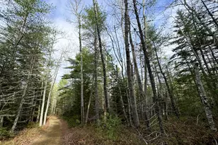 L1117&1118 Burke St, Wesley, ME 04686 - Photo 1