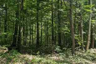 Lot 36-C Diller Line, Waterville, ME 04938 - Photo 1