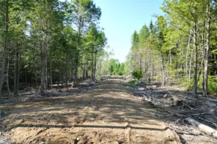 Lot 1-2 Off Clear Cut Lodge Rd, Springfield, ME 04487 - Photo 1