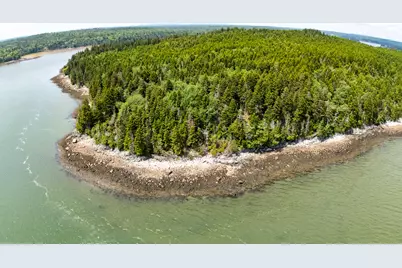 Lots 2&4 Looks Cemetery Road, Jonesboro, ME 04648 - Photo 1