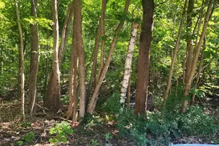 G28-4 Grammar St, Sanford, ME 04073 - Photo 1