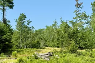473A Middle Rd, Standish, ME 04085 - Photo 1