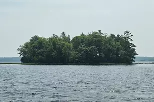 00 Mouse Island, Old Town, ME 04468 - Photo 1