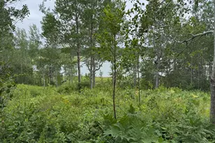 M10L200-1 Off Lyons Rd, Lubec, ME 04652 - Photo 1