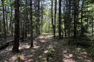 Lot 30-A Hollin Waite Hill Rd, Anson, ME 04911 - Photo 1