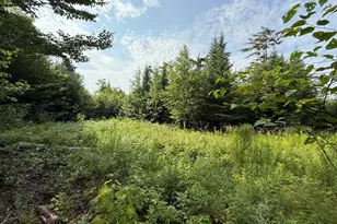 49 Black Bear Ln, Greenville, ME 04441 - Photo 1