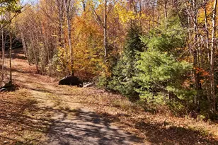 Lot #11 N Green St, Greenville, ME 04441 - Photo 1