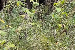 129 Winding Hill Rd, Saint Albans, ME 04971 - Photo 1