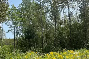 Map3Lot12C Fowler Road Crossroad, Woodland, ME 04736 - Photo 1