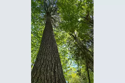 50-52A-54 Old County Road, Sedgwick, ME 04676 - Photo 1