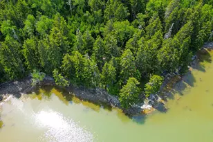 49 Missy Way, Steuben, ME 04680 - Photo 1