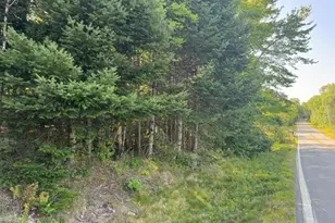 Map4 Lot26 Southern Bay Rd, Penobscot, ME 04476 - Photo 1