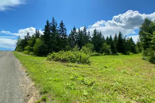 M9L5A Tupper Rd, Perham, ME 04766 - Photo 1