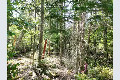 Lot 6 Fogg Brook Road, Lowell, ME 04493 - Photo 1