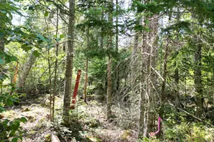 Lot 6 Fogg Brook Rd, Lowell, ME 04493 - Photo 1