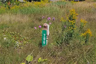 796 Main St, Springfield, ME 04487 - Photo 1