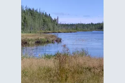 Lot 7 Caswell Woods Dernien Drive, Caswell, ME 04750 - Photo 1