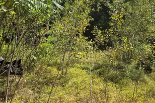 663 Morrill Pond Rd, Hartland, ME 04943 - Photo 1