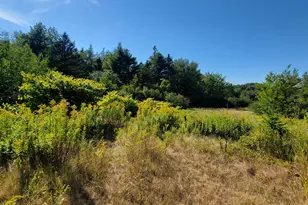 Lot 23 Bay Rd, Jonesboro, ME 04648 - Photo 1