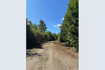 Lot 10 Route 137, Freedom, ME 04941 - Photo 1