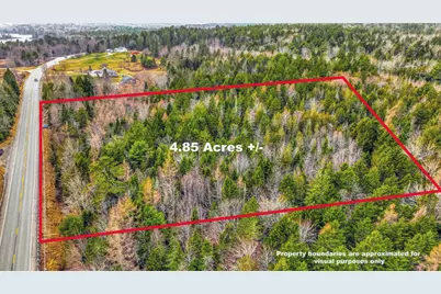 0 Swamp Road, Gouldsboro, ME 04607 - Photo 1