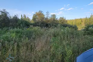 352 Grivois Rd, Grand Isle, ME 04746 - Photo 1