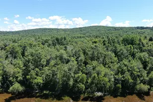 Lot 1 Woodland Ridge Rd, Danforth, ME 04424 - Photo 1