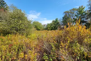 7 Deerfield Dr, Jonesport, ME 04649 - Photo 1