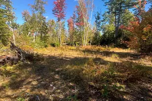 616 Peltoma Ave, Pittsfield, ME 04967 - Photo 1