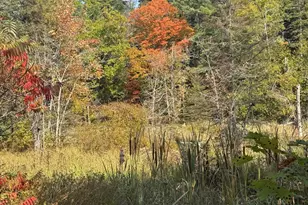 43 Front St, Pembroke, ME 04666 - Photo 1