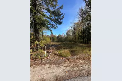 Lot 4 Hancock Pond Road, Sebago, ME 04029 - Photo 1