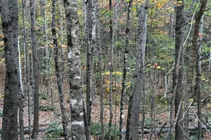 45 Sunrise Ln, Moscow, ME 04920 - Photo 1