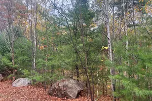 Lot 29 Deer View, Bethel, ME 04217 - Photo 1