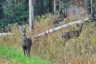 10 Lake Vista Dr, Oakland, ME 04963 - Photo 1