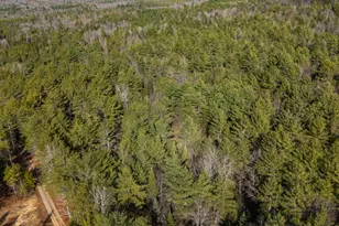 116 New Harrison Rd, Oxford, ME 04270 - Photo 1