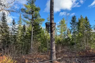 M3L42 Caribou Rd, Passadumkeag, ME 04475 - Photo 1