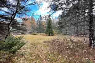 Lot #9-4 Oak Hill Rd, Bar Harbor, ME 04609 - Photo 1