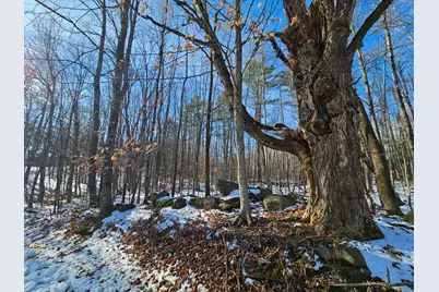 R09-L13-3 Ski Slope Road, Farmington, ME 04938 - Photo 1