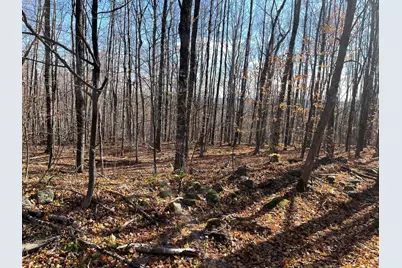 Lot#29 Bradley Drive, Harmony, ME 04942 - Photo 1