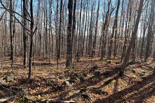 Lot#29 Bradley Dr, Harmony, ME 04942 - Photo 1